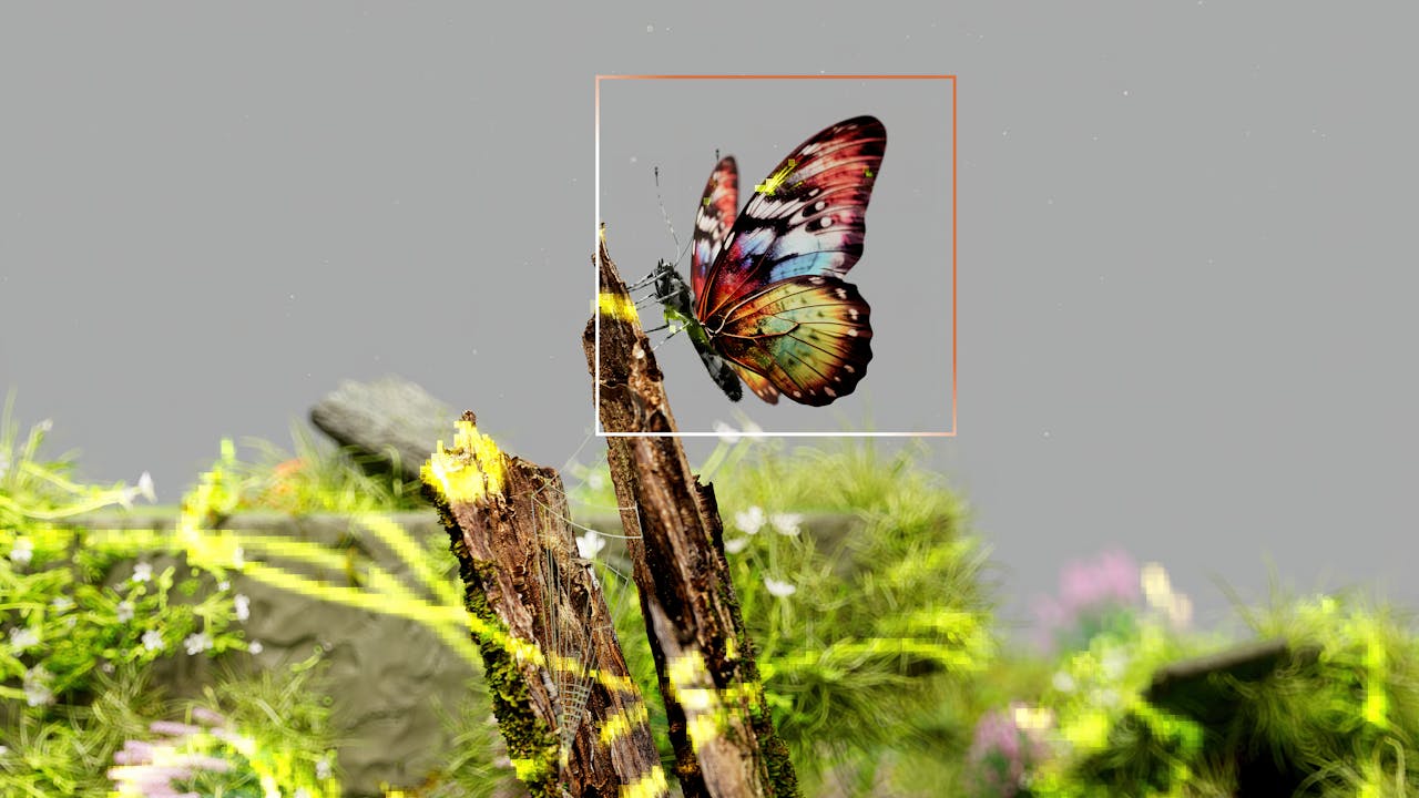 who-we-are-img Vibrant butterfly resting on mossy wood surrounded by fresh greenery.
